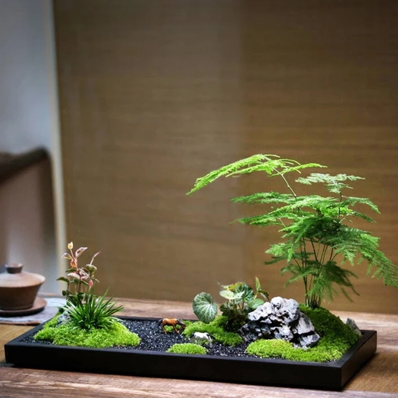 重庆花卉租赁电话